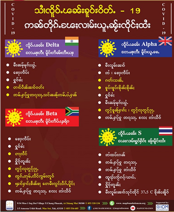 သၢႆၸိူဝ်ႉၽၼ်းၶူဝ်ႊဝိတ်ႉ -19 ဢၼ်တိုၵ်ႉၽႄႈလၢမ်းယူႇၼႂ်းၸိုင်ႈထႆး